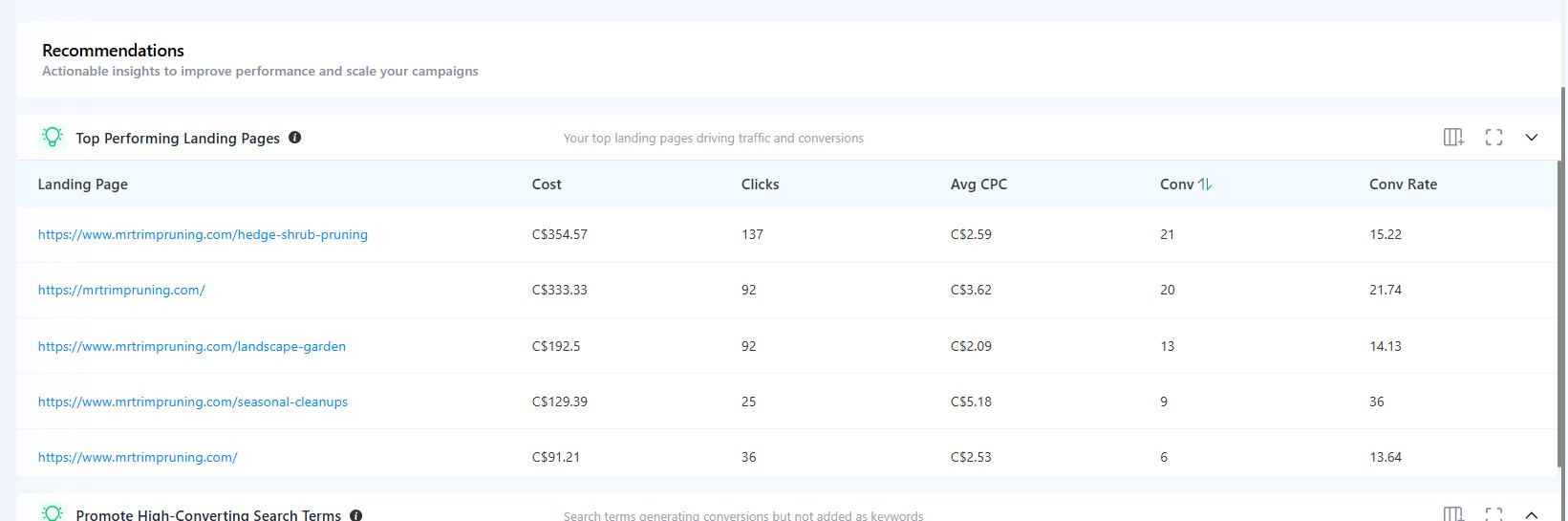 High Spend Keyword with 0 Conversions - Google Ads account issues report